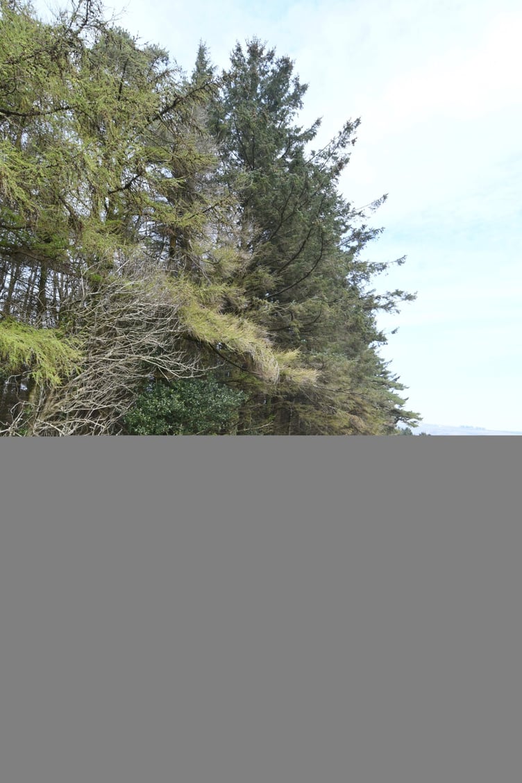 A site at Axenfell plantation being considered for a water treatment plant