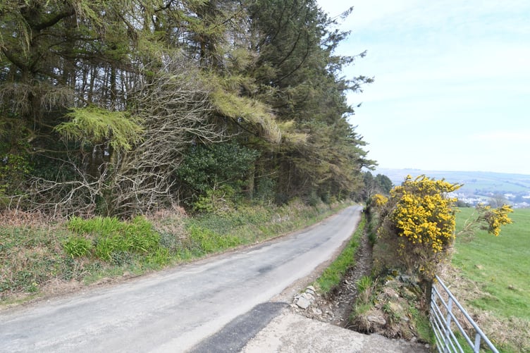A site at Axenfell plantation being considered for a water treatment plant