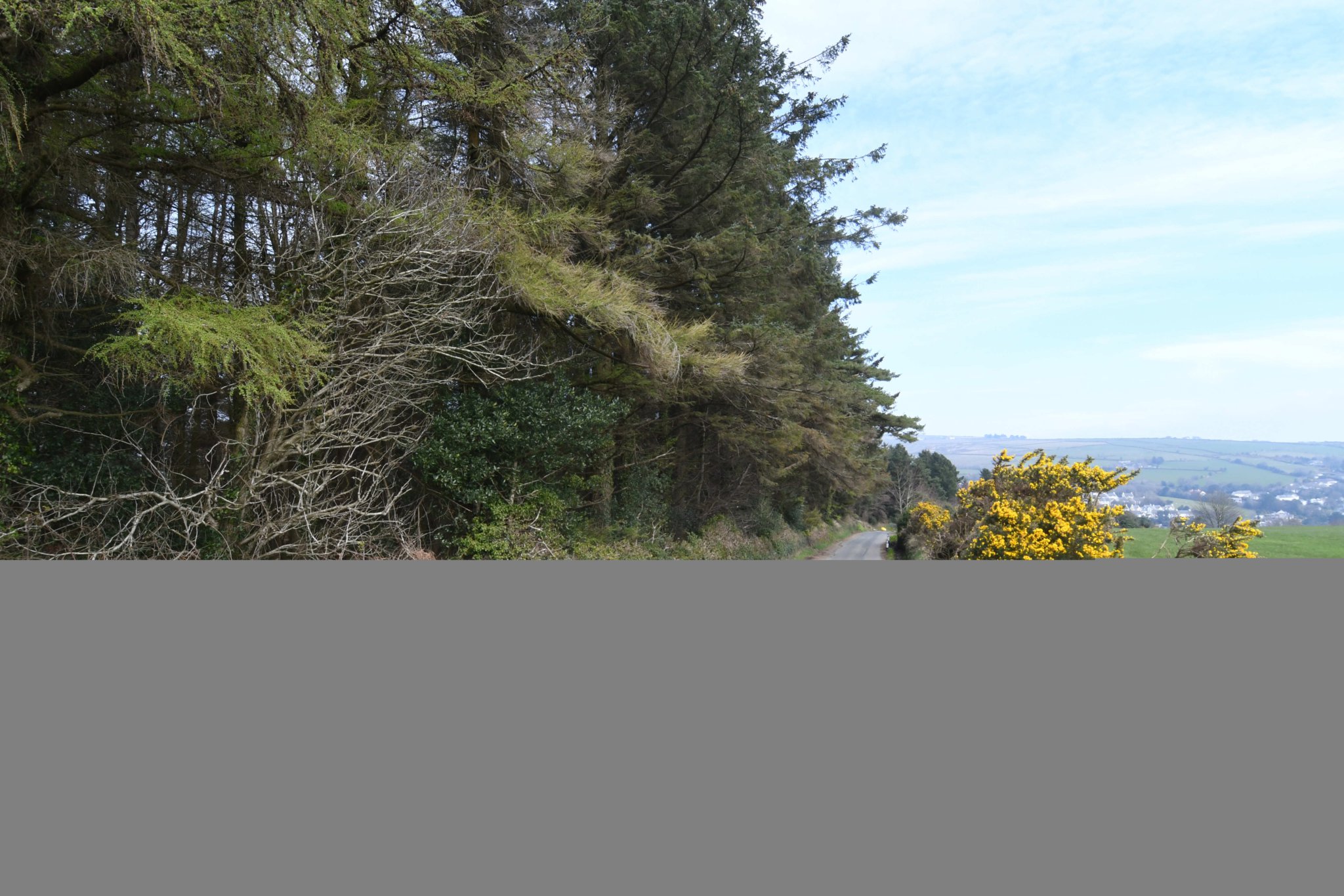 A site at Axenfell plantation being considered for a water treatment plant