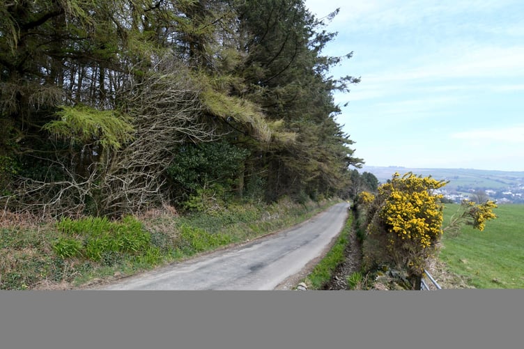 A site at Axenfell plantation being considered for a water treatment plant
