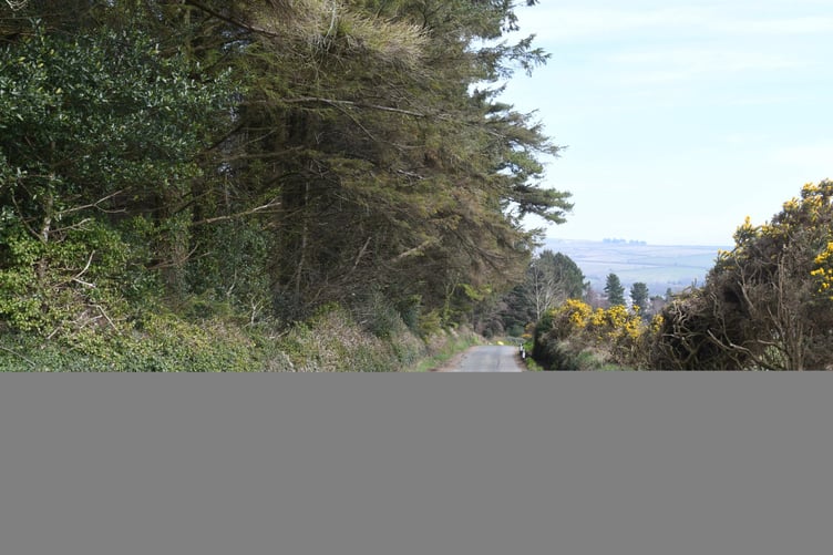 A site at Axenfell plantation being considered for a water treatment plant