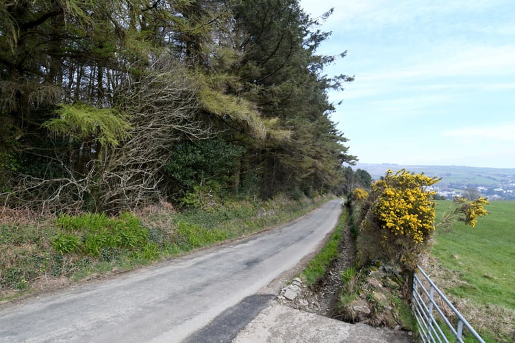 A site at Axenfell plantation being considered for a water treatment plant