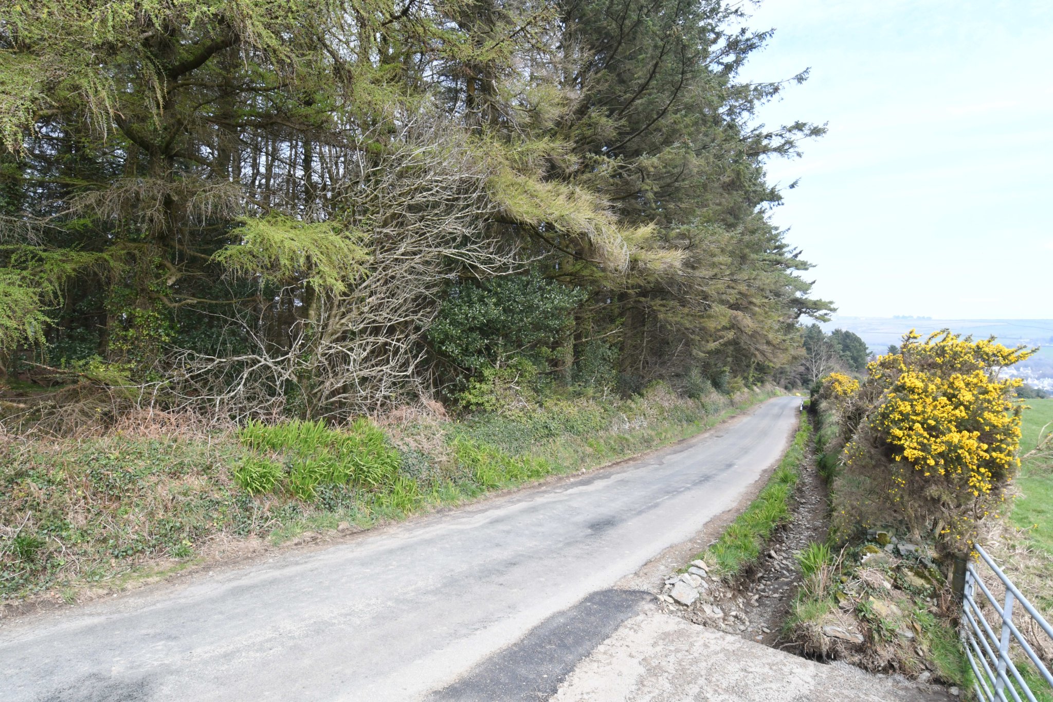 A site at Axenfell plantation being considered for a water treatment plant