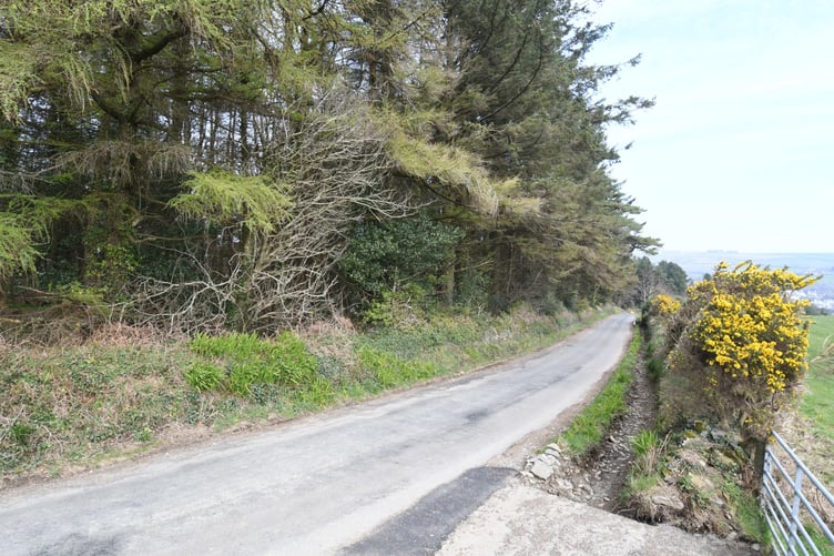A site at Axenfell plantation being considered for a water treatment plant