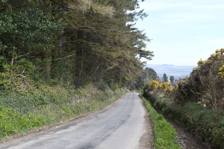 A site at Axenfell plantation being considered for a water treatment plant