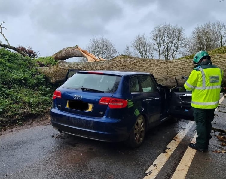 Dramatic images of the car and tree at Spencecombe.