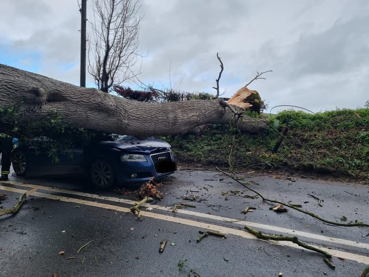 Dramatic images of the car and tree at Spencecombe.