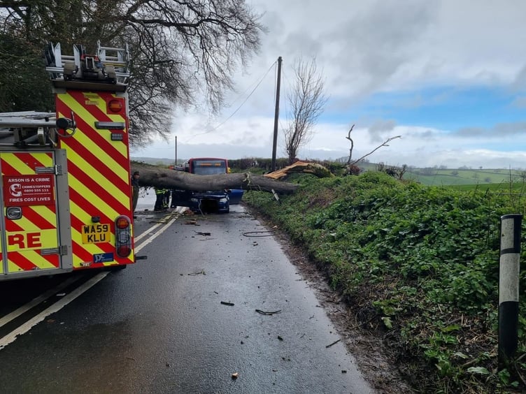 Dramatic images of the car and tree at Spencecombe.