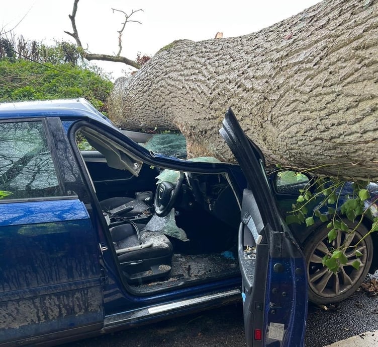 Dramatic images of the car and tree at Spencecombe.