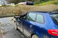 Dramatic images of tree on car near Crediton
