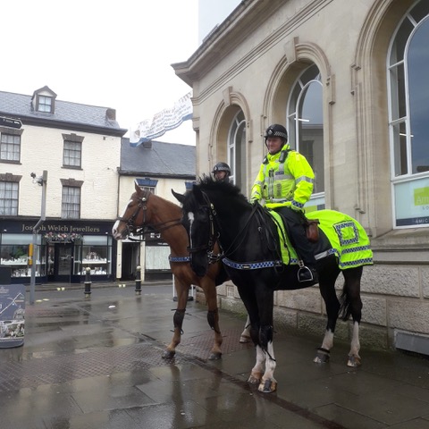 Mounted police were seen patrolling in Wellington on Wednesday
