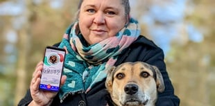 Four Marks woman says app ‘has been a life saver’