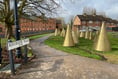 Fans of Farnham's golden cones call on people to be more 'open-minded'