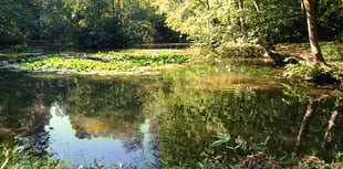 Renationalise water companies to put 'environment before profits'