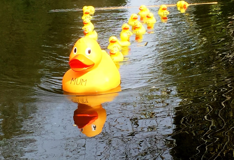<p>Farnham Duck Race will be returning at Gostrey Meadow on Saturday, April 29</p>