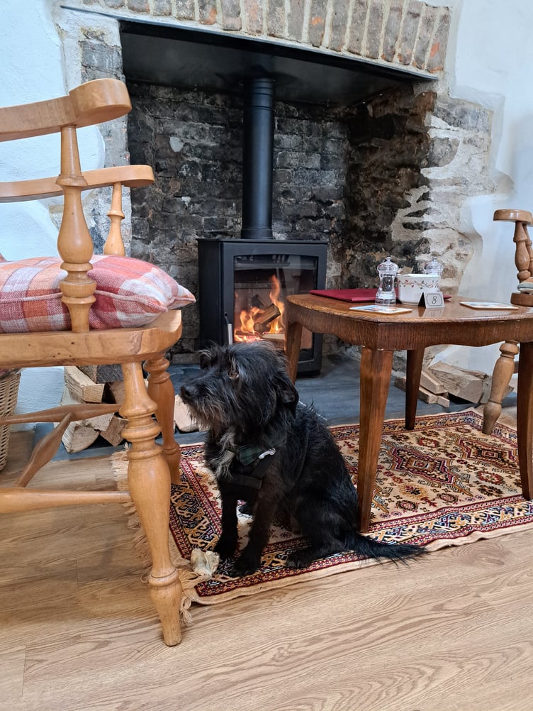 Keeping cosy in front of The Rambler's Rest tea room log burner on Exmoor.