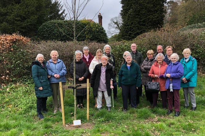 The tree planting in Dot Othen's memory at Hollowdene Recreation Ground in Frensham