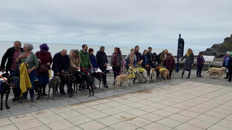 The Hector's Greyhound Rescue walk made its way along Aberystwyth promenade