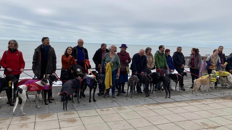 The Hector's Greyhound Rescue walk made its way along Aberystwyth promenade