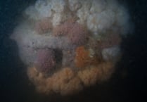 A diver’s experience visiting the wreck of the Mona’s Queen vessel