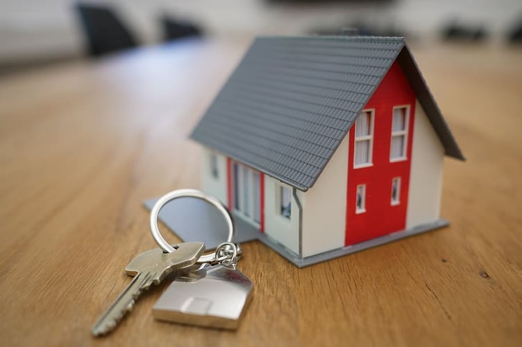 house hunt