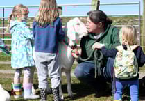Children experience joys of spring on the farm