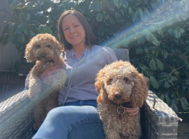Don't forget me! Cockapoo Bo is an internet star after 'best photobomb ...
