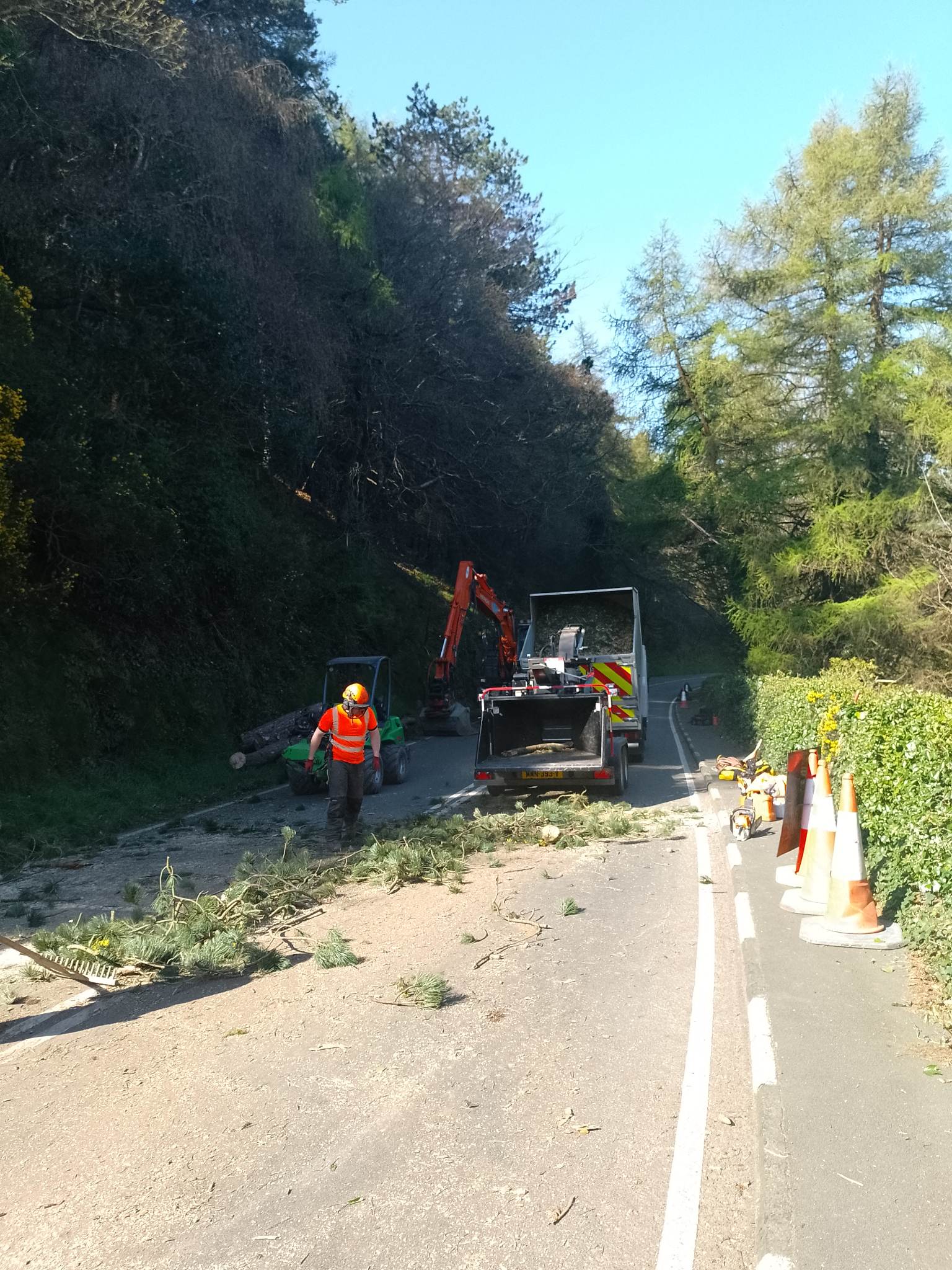 The tree has now been cleared away