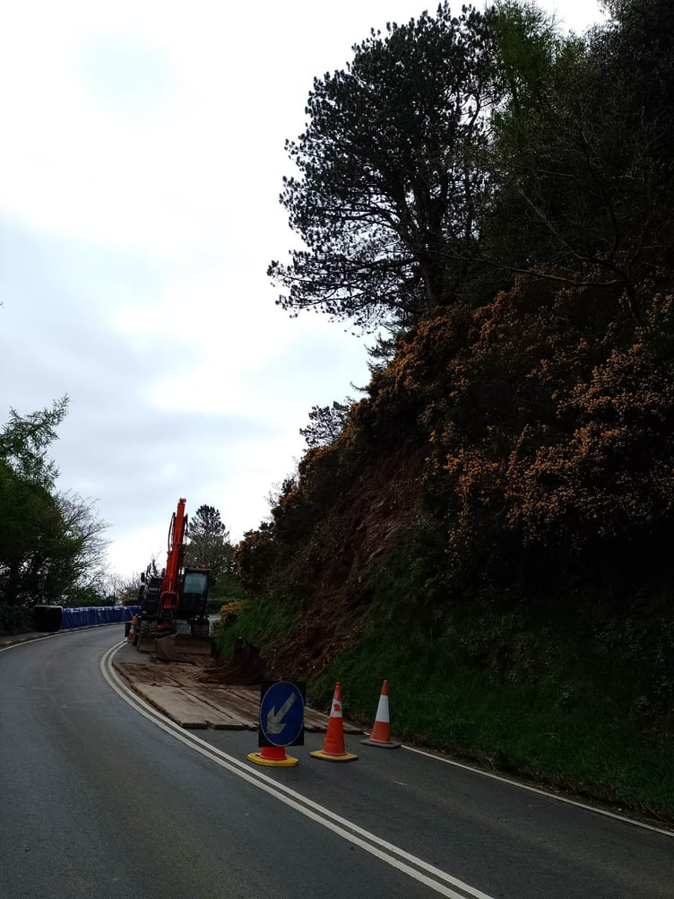 The tree was felled today, Thursday, April 20, to stop it falling on the road