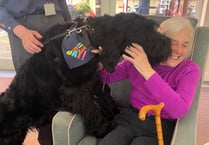 Furry birthday boy brings joy to Hindhead care home residents