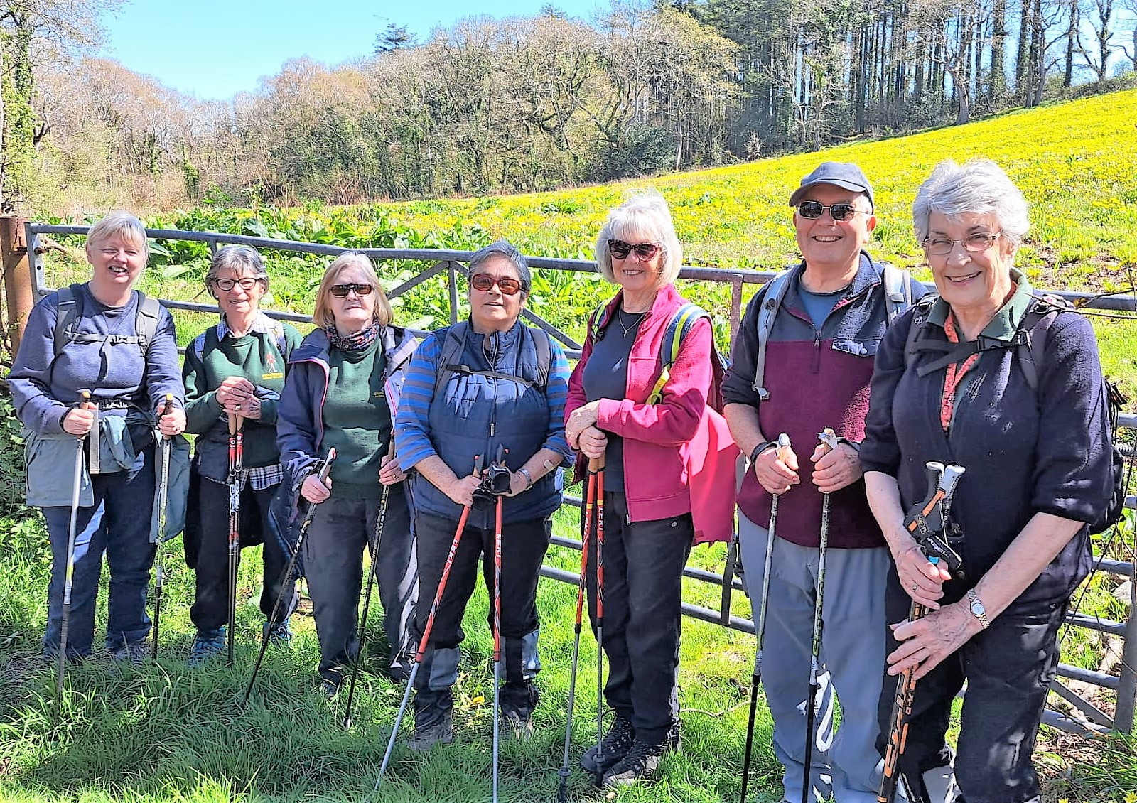 Nordic Walkers in Minwear Woods