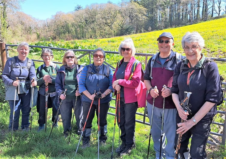 Nordic Walkers in Minwear Woods