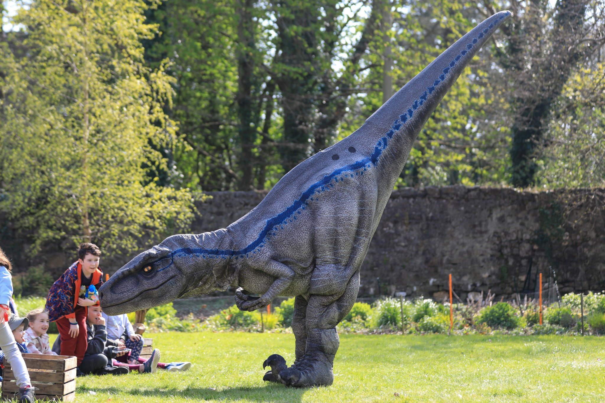 Dino Express Event held at Rushen Abbey. Photo by Callum Staley (CJS Photography).