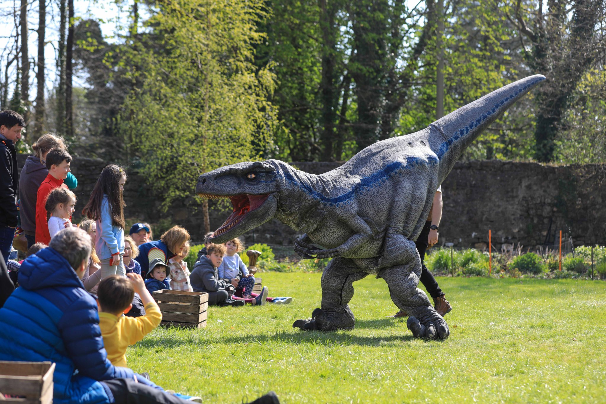 Dino Express Event held at Rushen Abbey. Photo by Callum Staley (CJS Photography).