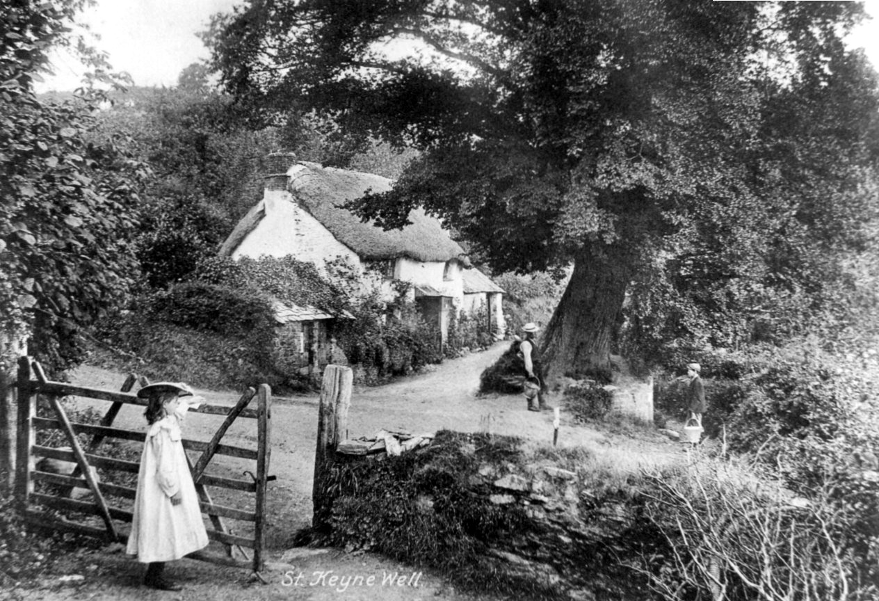 Liskeard Old Cornwall Society (OCS) member and residents of St Keyne came together recently to give the Holy Well just outside the village its annual tidy up