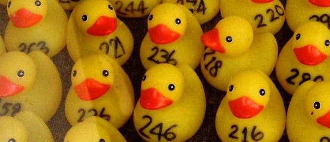 Farnham's legendary Racing Ducks are ready to return in Gostrey Meadow this Saturday