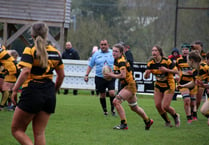 Two great wins for Crediton RFC teams
