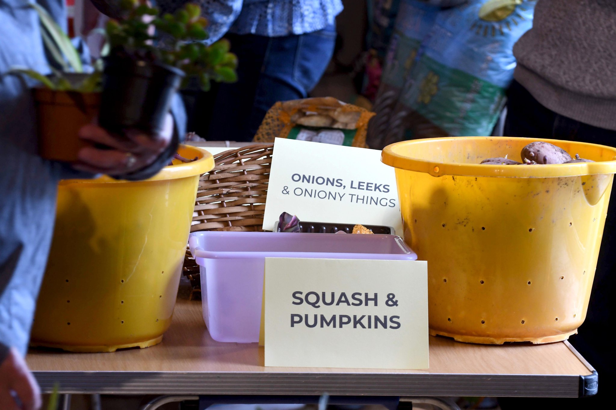 Seed Swap and Plant Share at the Institute in Laxey, organised by Lovely Greens and the Laxey and Lonan Allotment Group -