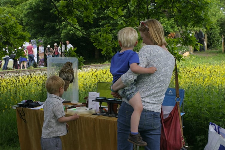 Nature Day, Gilbert White's House and Gardens, Selborne.
