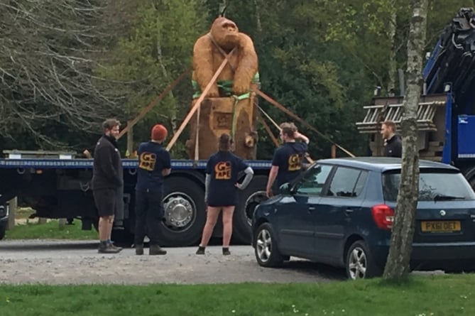 Alice Holt's new giant ape arrives bound in the style of King Kong
