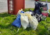 Litter pickers clear up in Langrish and Ramsdean