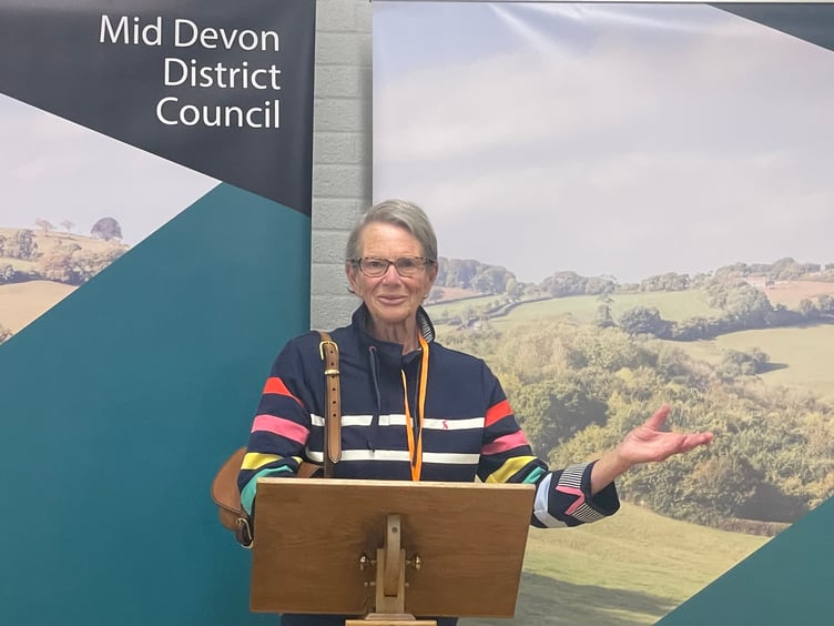 Polly Colthorpe was returned as Conservative councillor in Way ward.