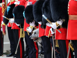Stunning behind-the-scenes photos of Coronation snapped by Farnham man