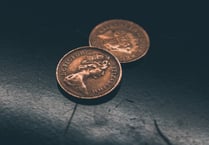 Lib Van: Coin consultation is a ‘distraction’
