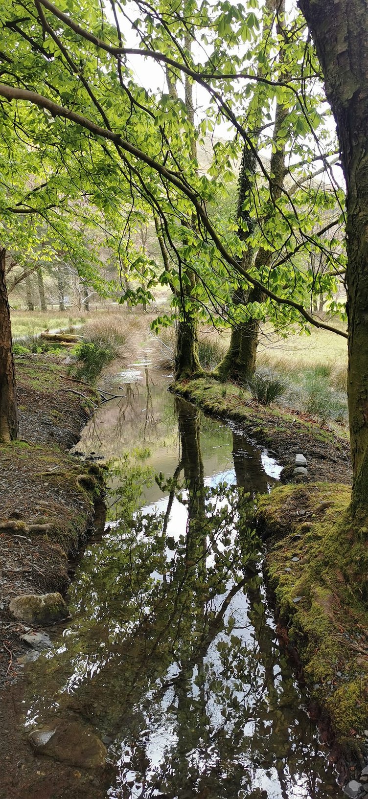At the base of Cadair Idris, taken by Llinos Furneaux