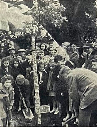 An oak is planted in Tilford to mark the coronation of Elizabeth II – can any reader confirm if it is still standing today?