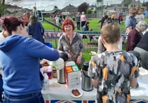 Paulton’s Park Picnic