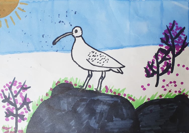 The curlew is one of the highest bird conservation priorities in Wales
