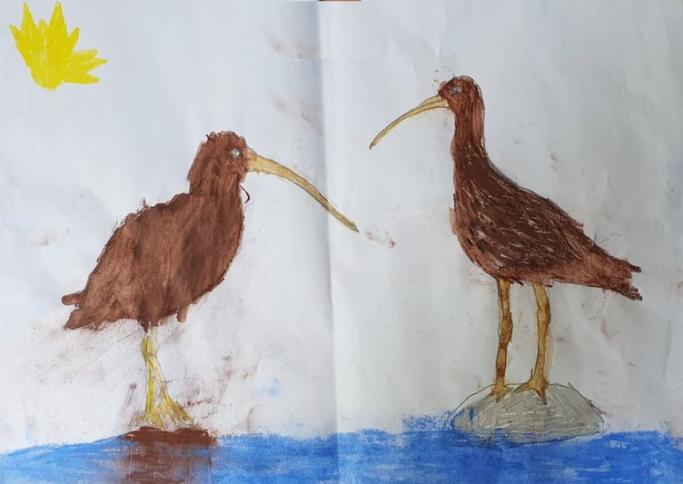 World Curlew Day (April 21) is a grass-roots initiative which champions the curlew worldwide
