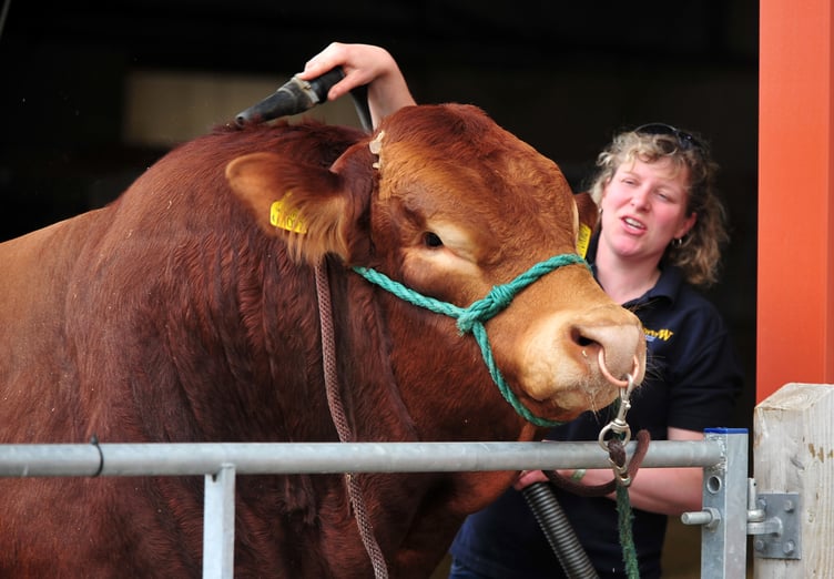 Devon County Show 2023. Picture Steve Pope